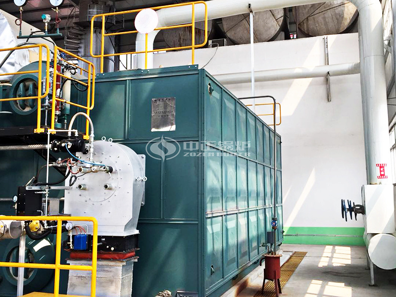 石家莊和諧紙業(yè)20噸SZS系列冷凝式燃?xì)庹羝仩t項目