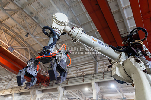 生物質(zhì)鍋爐原理 ，8噸生物質(zhì)鍋爐安裝費用是多少價格