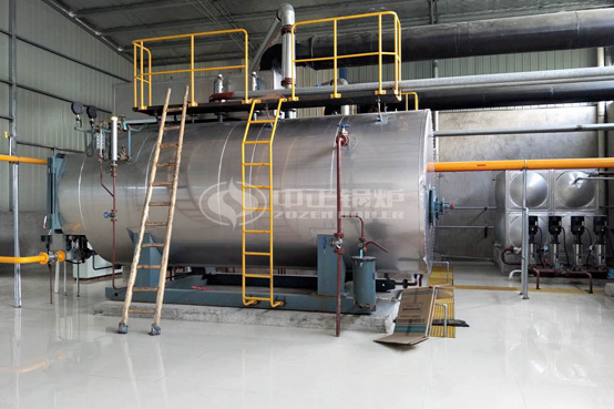 30噸/H的0.8mpa燃?xì)忮仩t