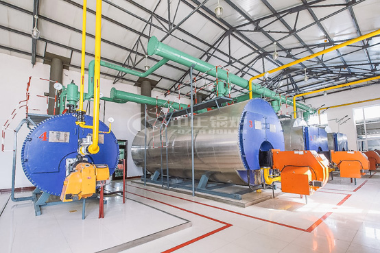 一臺1噸30mg低氮燃?xì)庹羝仩t